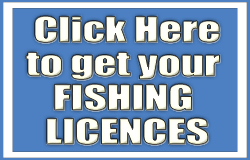 fishing licence